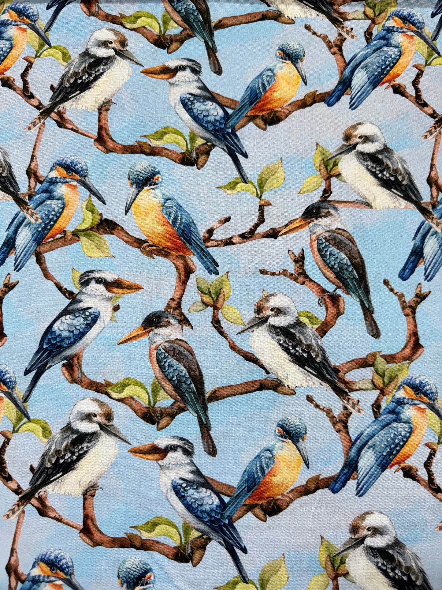 Bushland Chorus - Kookaburras and Kingfishers