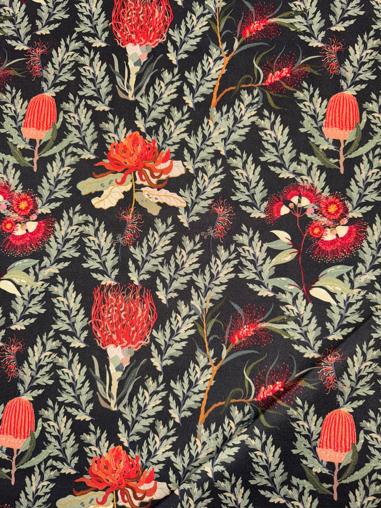 Nora's Natives Waratah DV6354