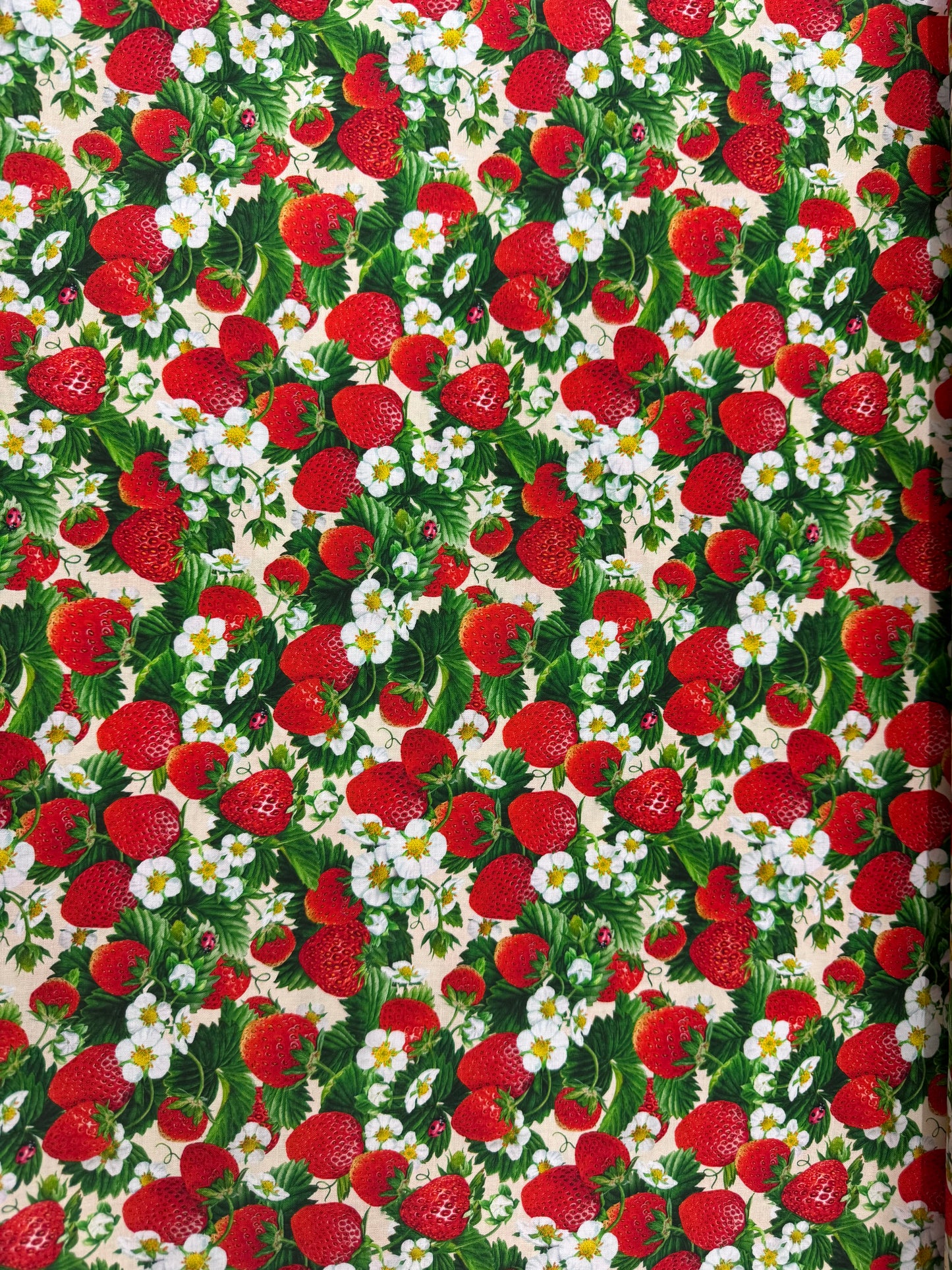 Strawberry Fields Cream