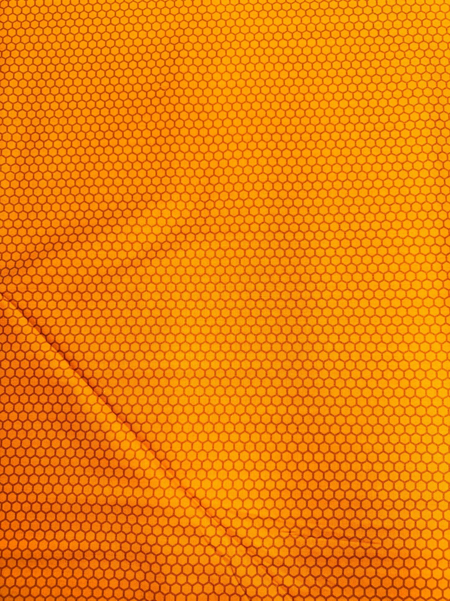 Local Honey Bees - Gold Hexagons