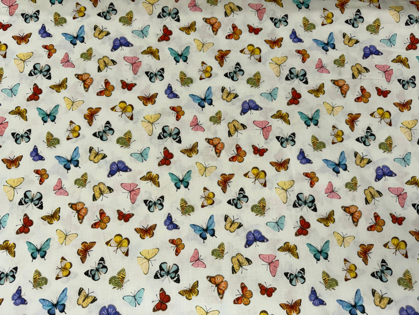 Butterflies on Cream Wideback 108"
