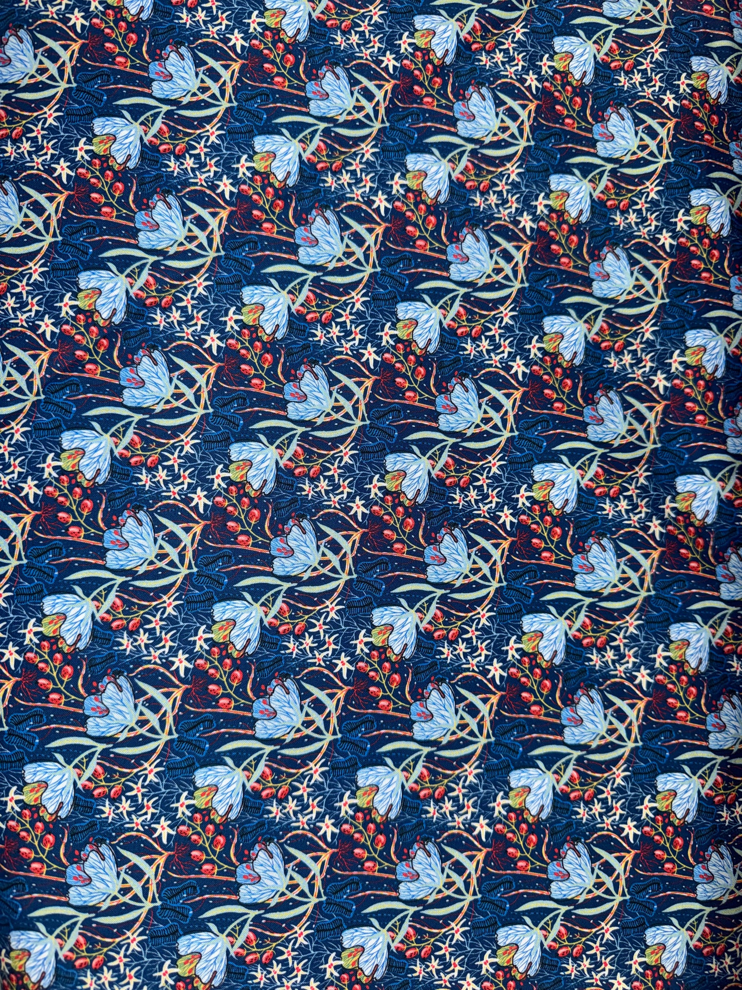 Whimsy - Blue and Red