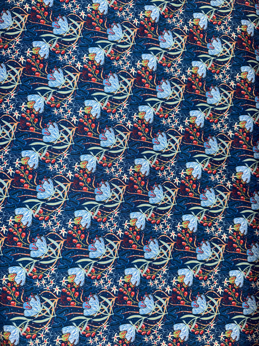 Whimsy - Blue and Red