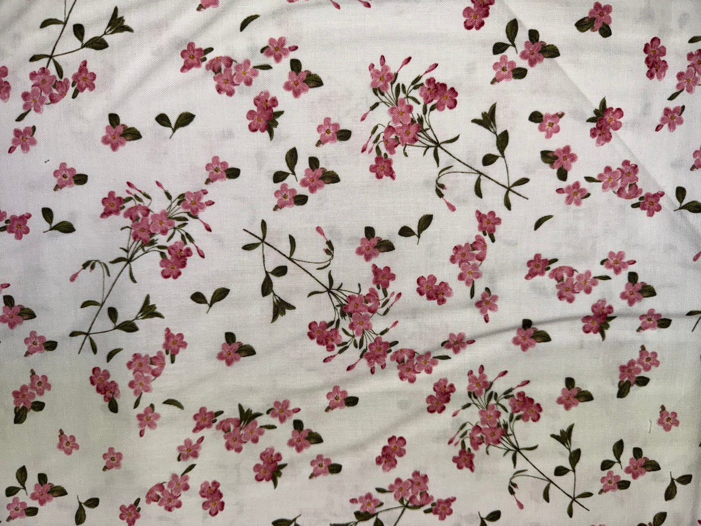 Springtime Pink Blossoms