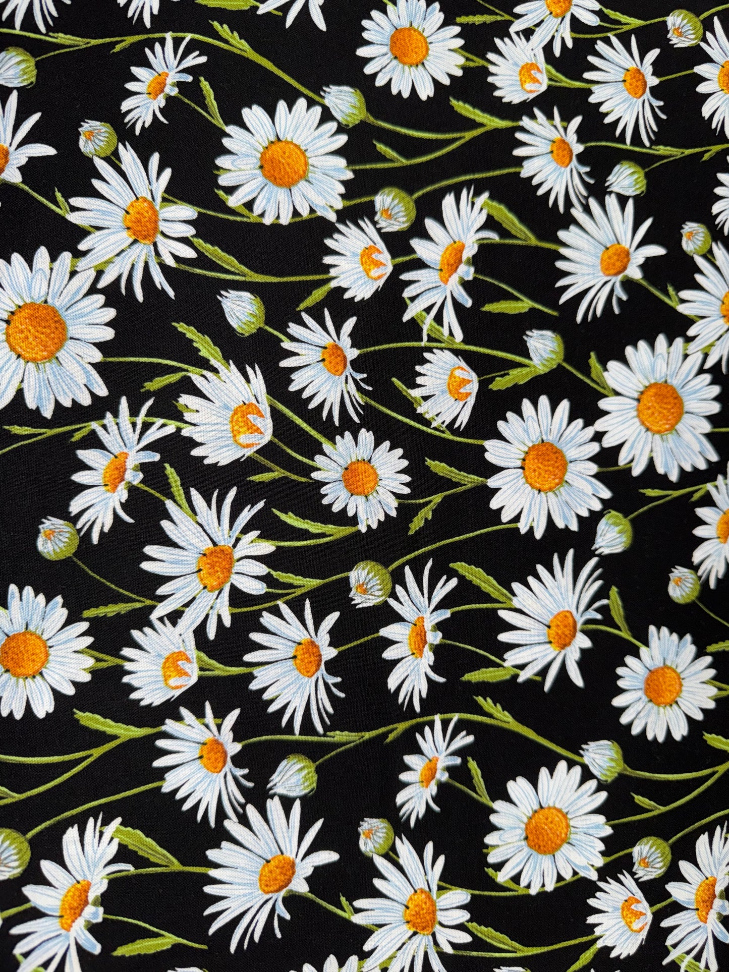 Flower Market - Daisies on Black background