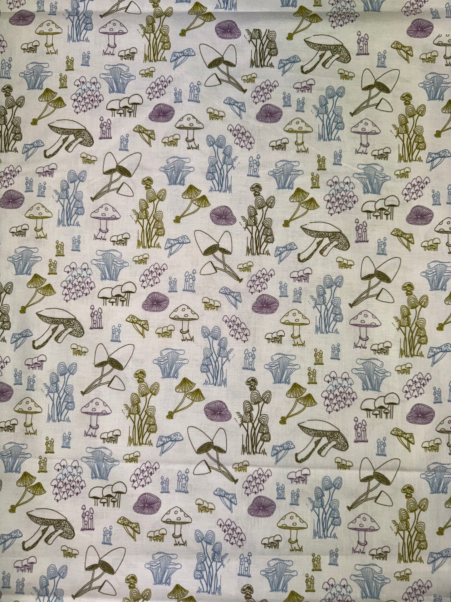 Celestial Garden - Mushrooms on a cream background