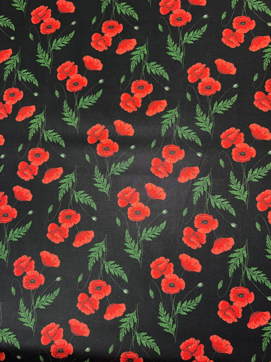 Red Poppies on Black Background