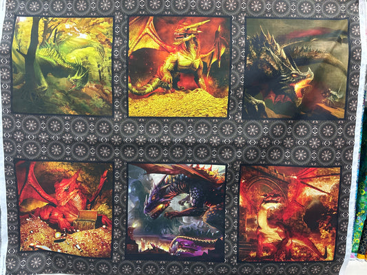 Dragons Six - In the Beginning - Panel