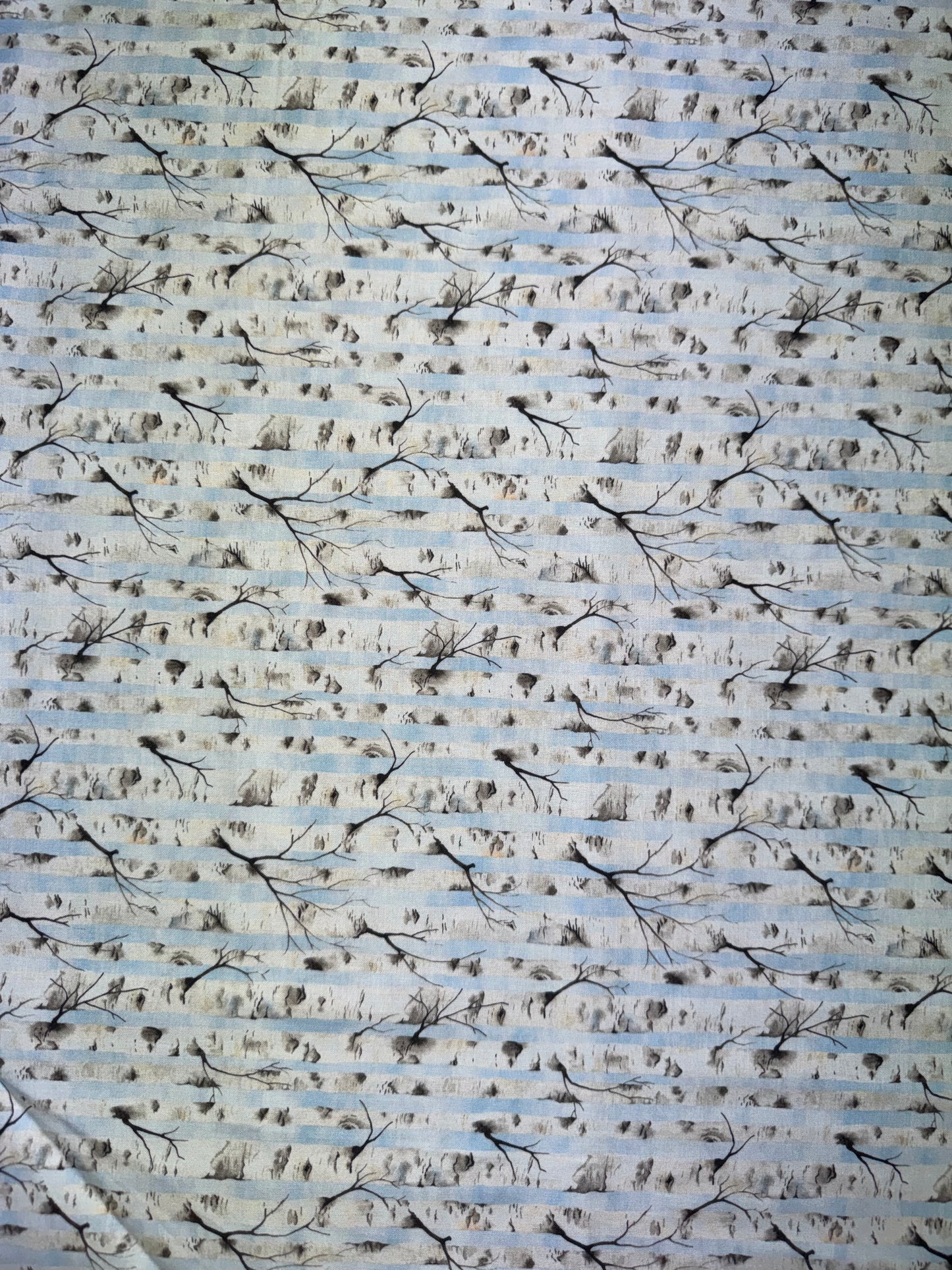 Sanctuary by Jason Yenter - Sky Birch 5SA1