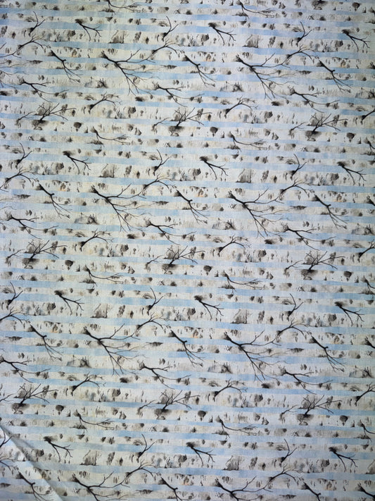 Sanctuary by Jason Yenter - Sky Birch 5SA1