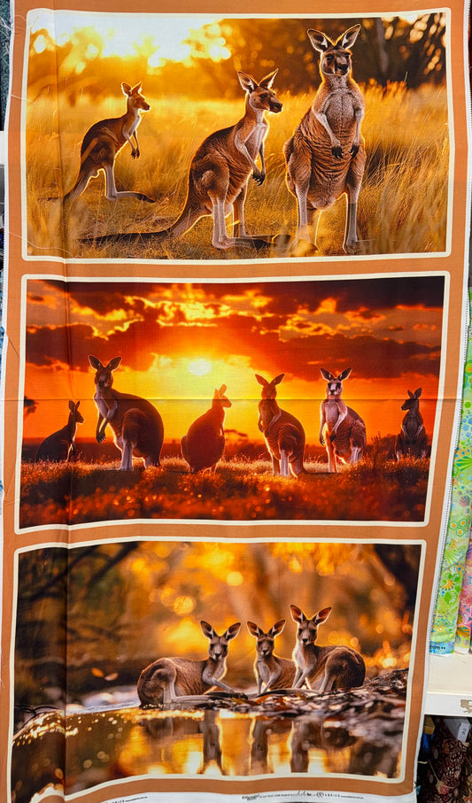 Marsupial Moments - Kangaroos - 24" 3 piece Panel