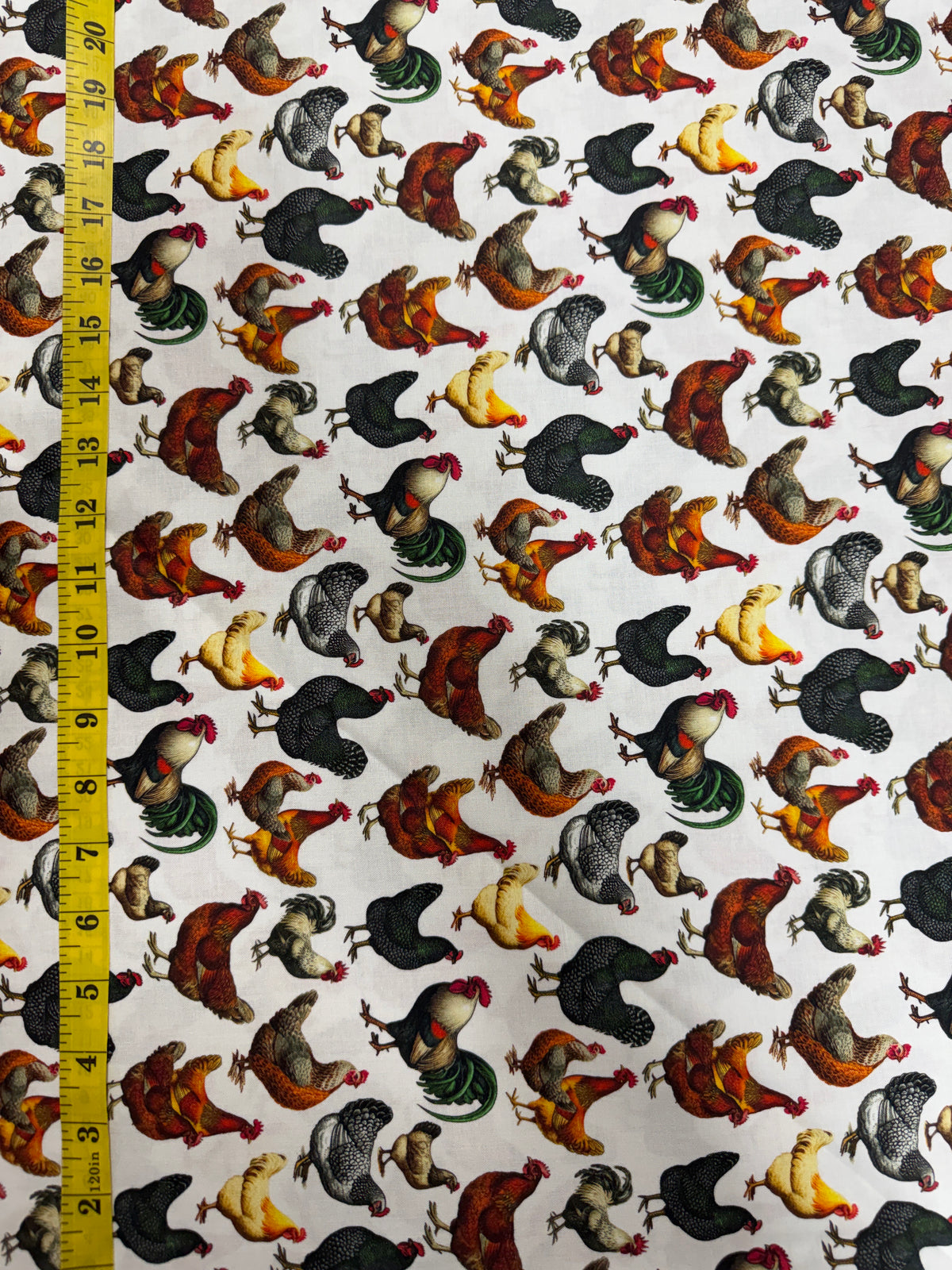 Lots of Chickens