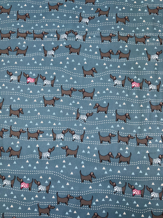 Dachshund Sausage Dogs on a Blue background DV6537