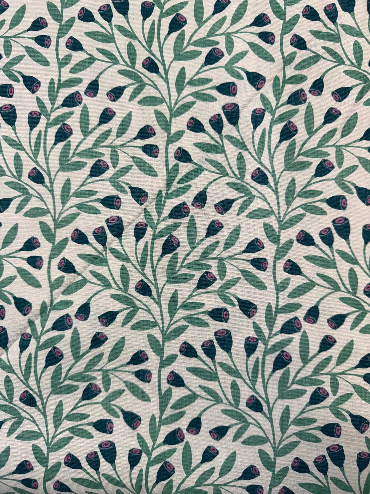 Botanicals - Leaves and gumnuts on a cream background