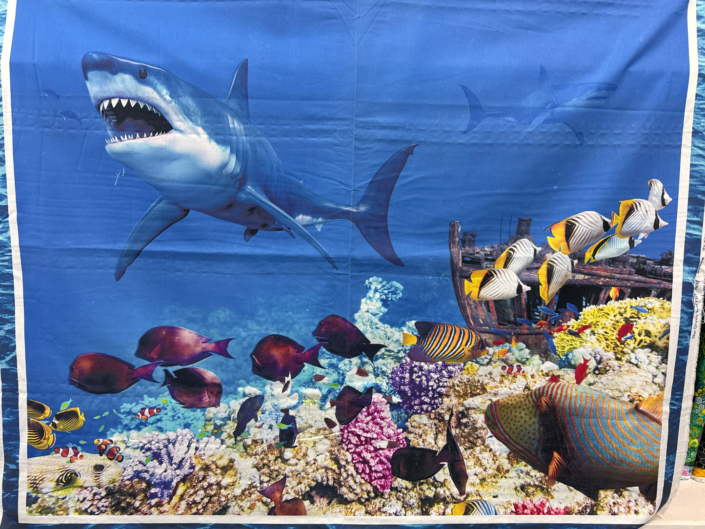 Great Barrier Reef Panel