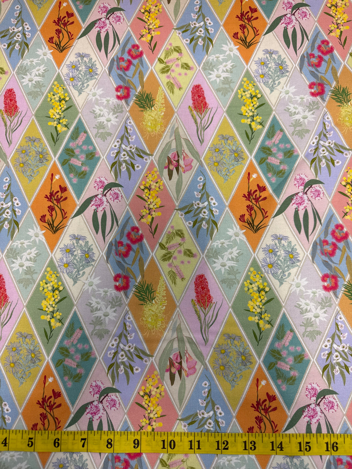 Robyn Hammond - Aussie Backyard - Flowers in Diamonds DV7873
