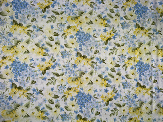 Yellow and Blue Daisies