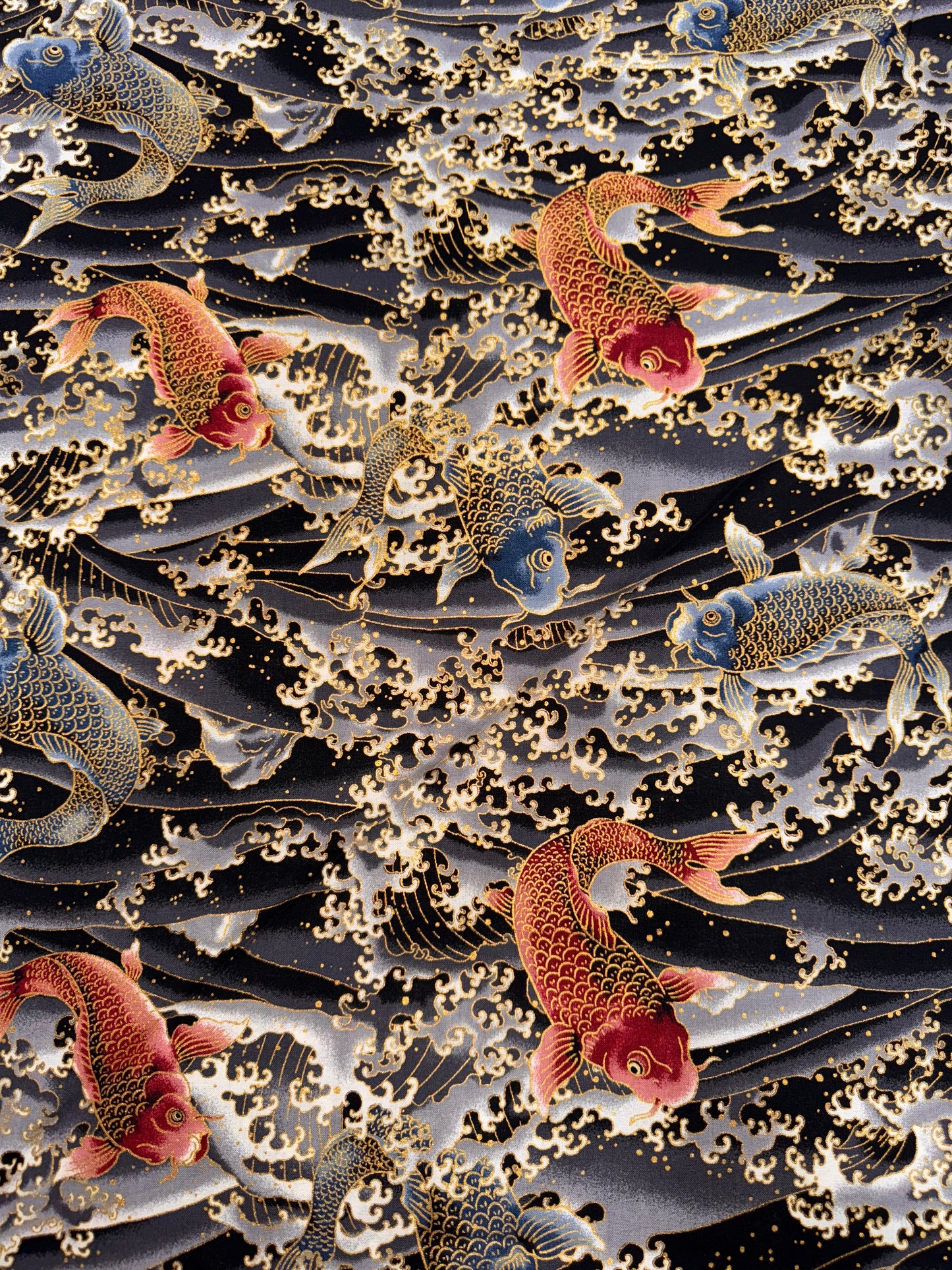 Japanese Zakura Black Koi Fish