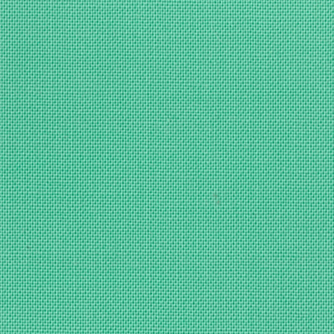Devonstone Solids  - DV118 Spearmint