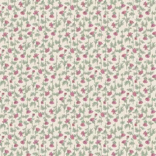 Forget-Me-Not Rose Mary Pink