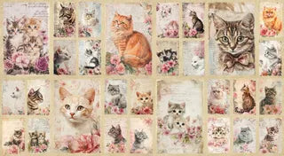 DV7936 Coops Farm - Cats and Kittens