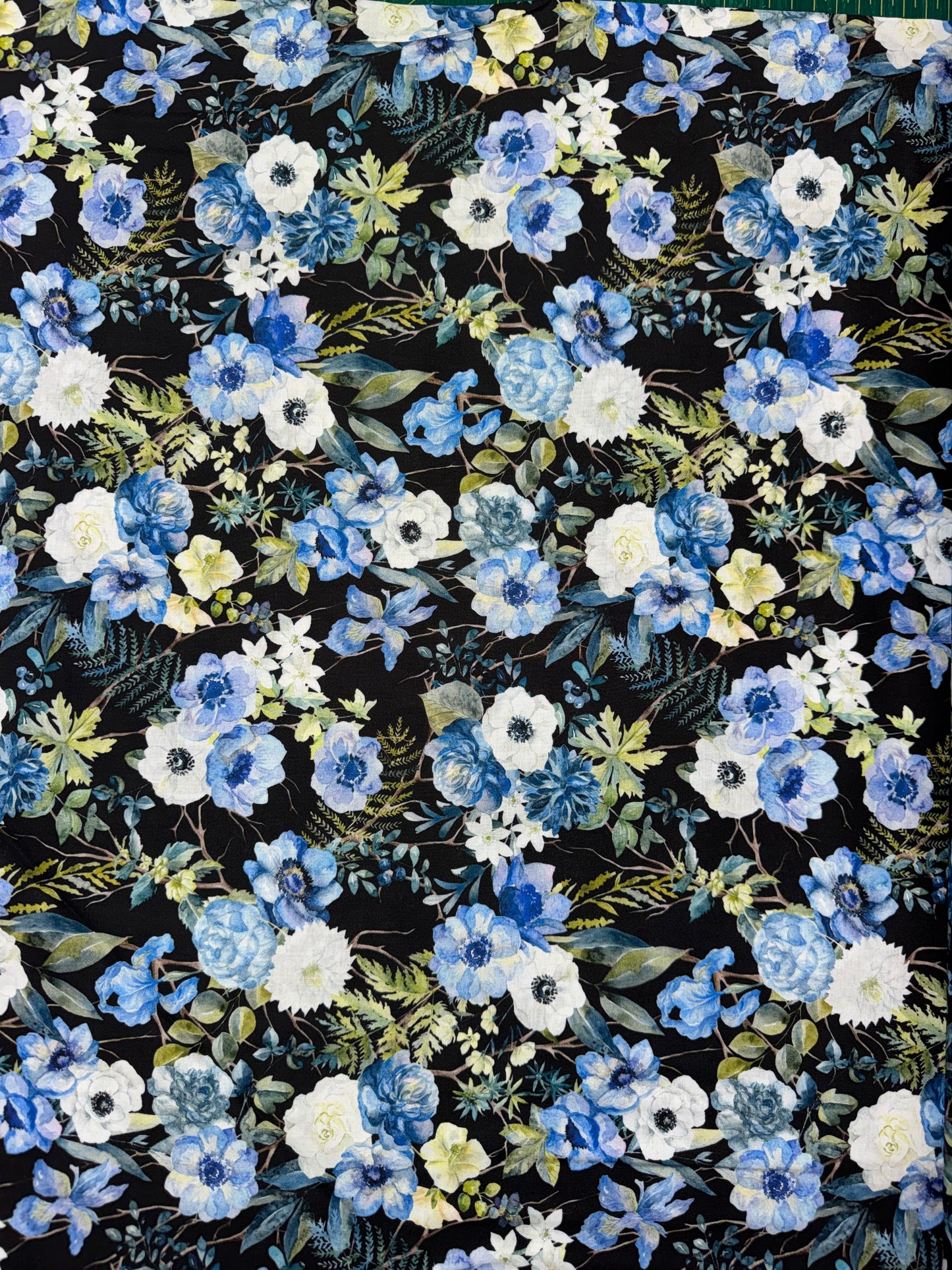 Sanctuary by Jason Yenter - Black Floral 2SA2