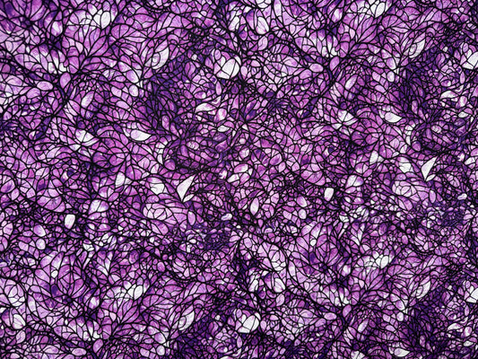 Cat Artistry Glassine Purple