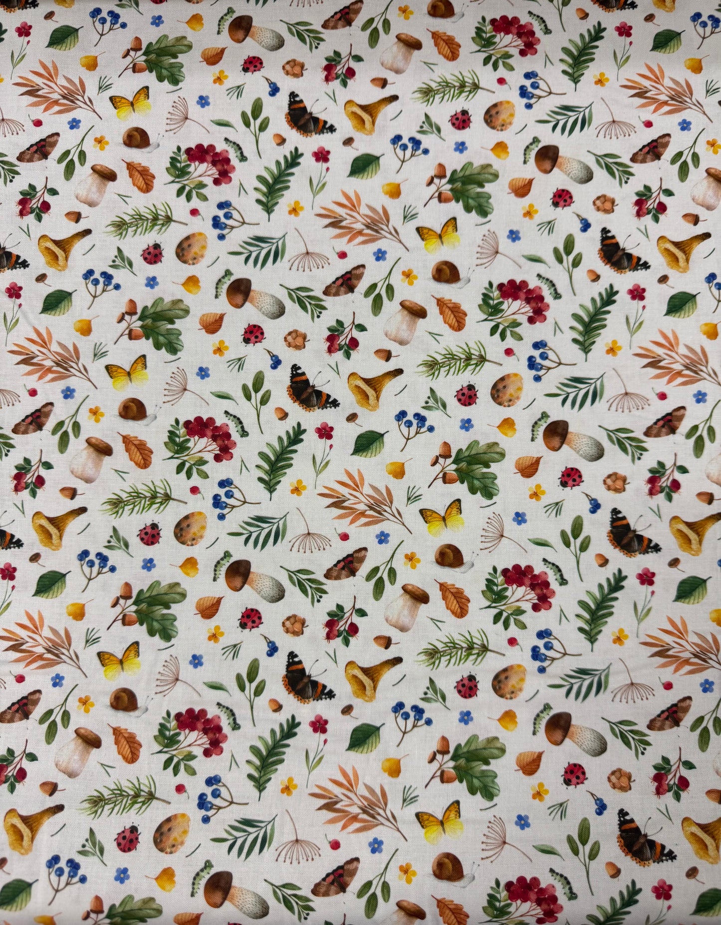 Who Lives in the Woods - Mushrooms and Butterflies on Cream