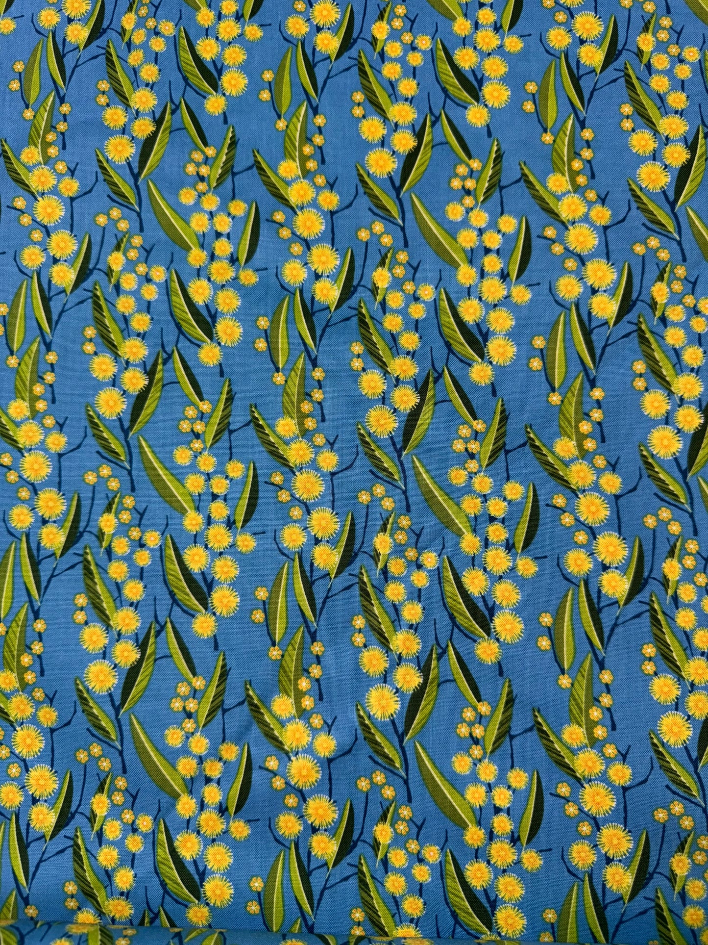 Golden Grove Wattle on Blue