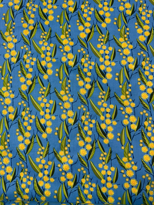 Golden Grove Wattle on Blue