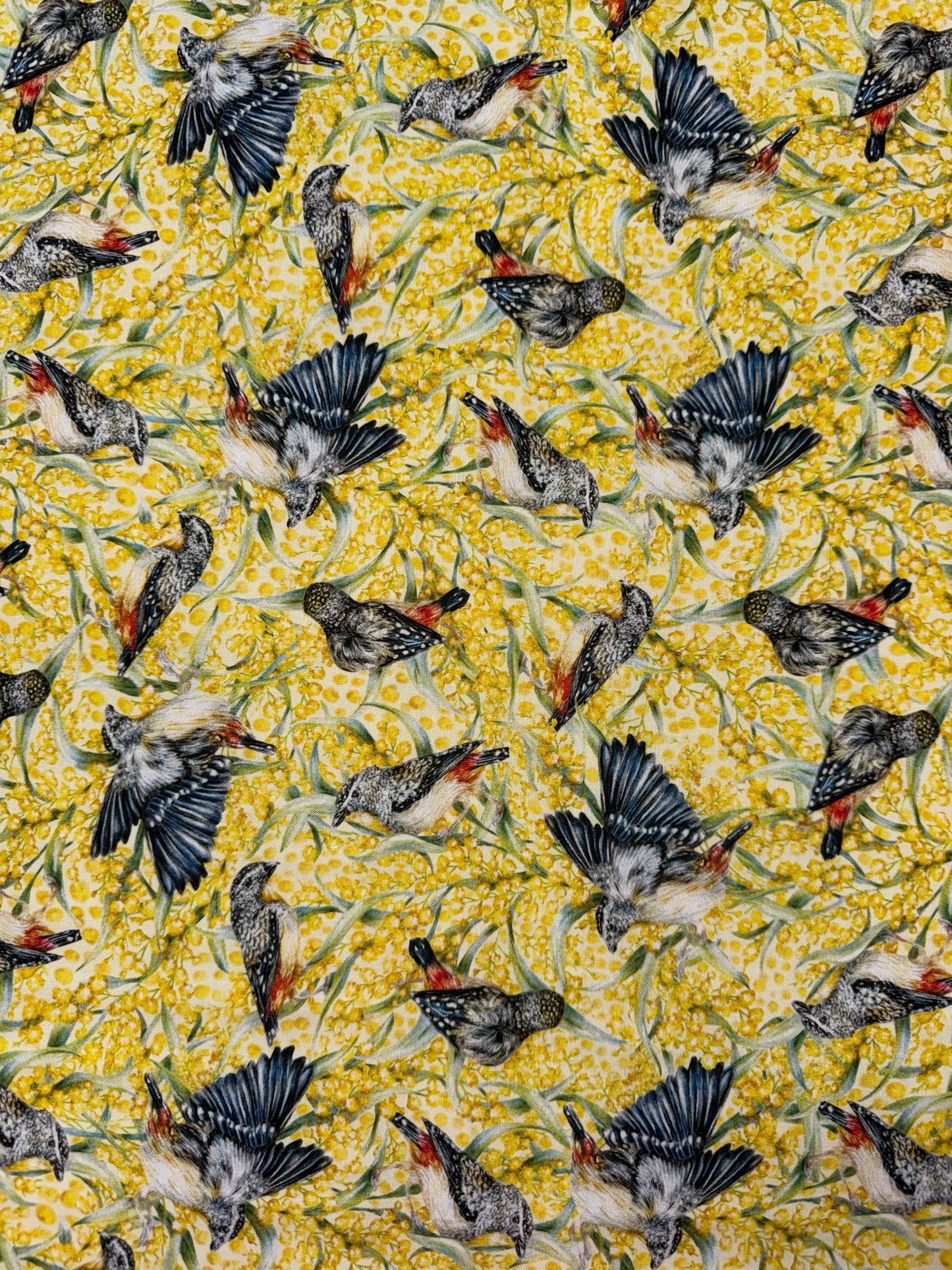 DV7046 Kayla Reay Australian Birds on a Yellow Background
