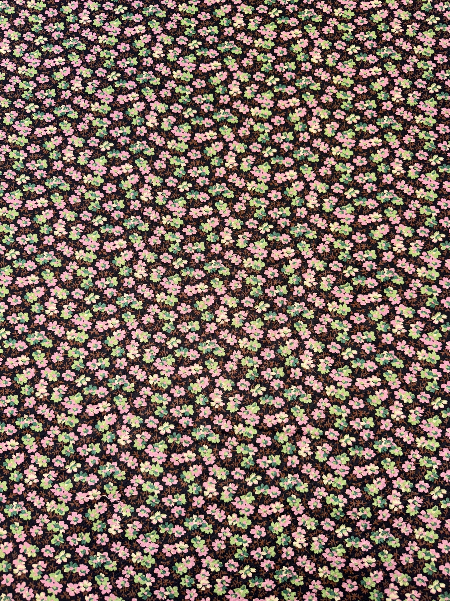 Rue Floriane Violette DV5113