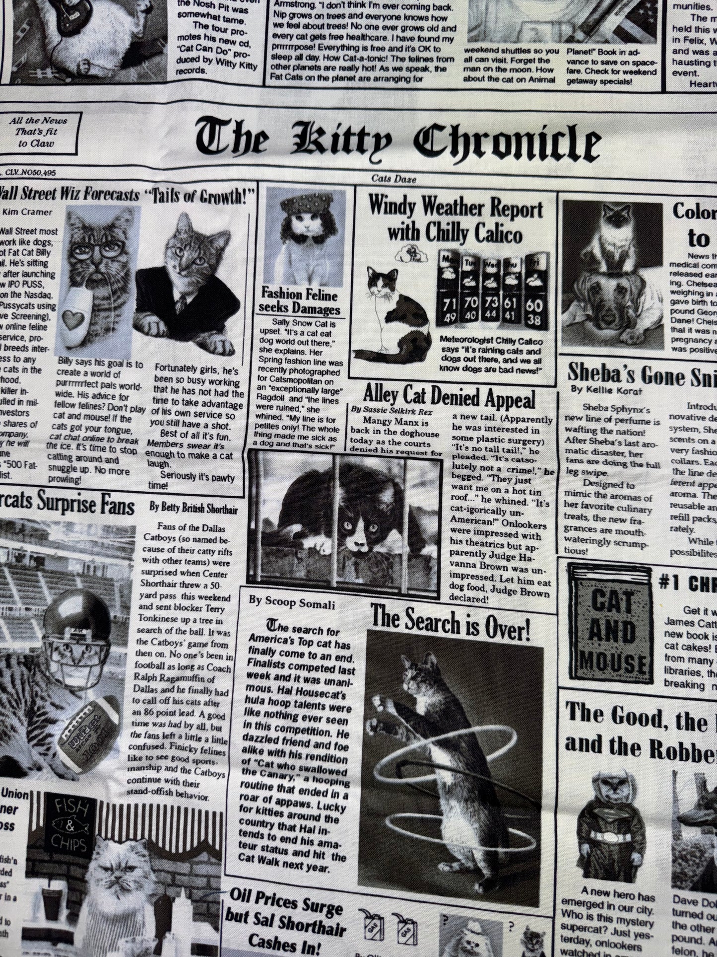 The Kitty Chronicle - Newspaper print