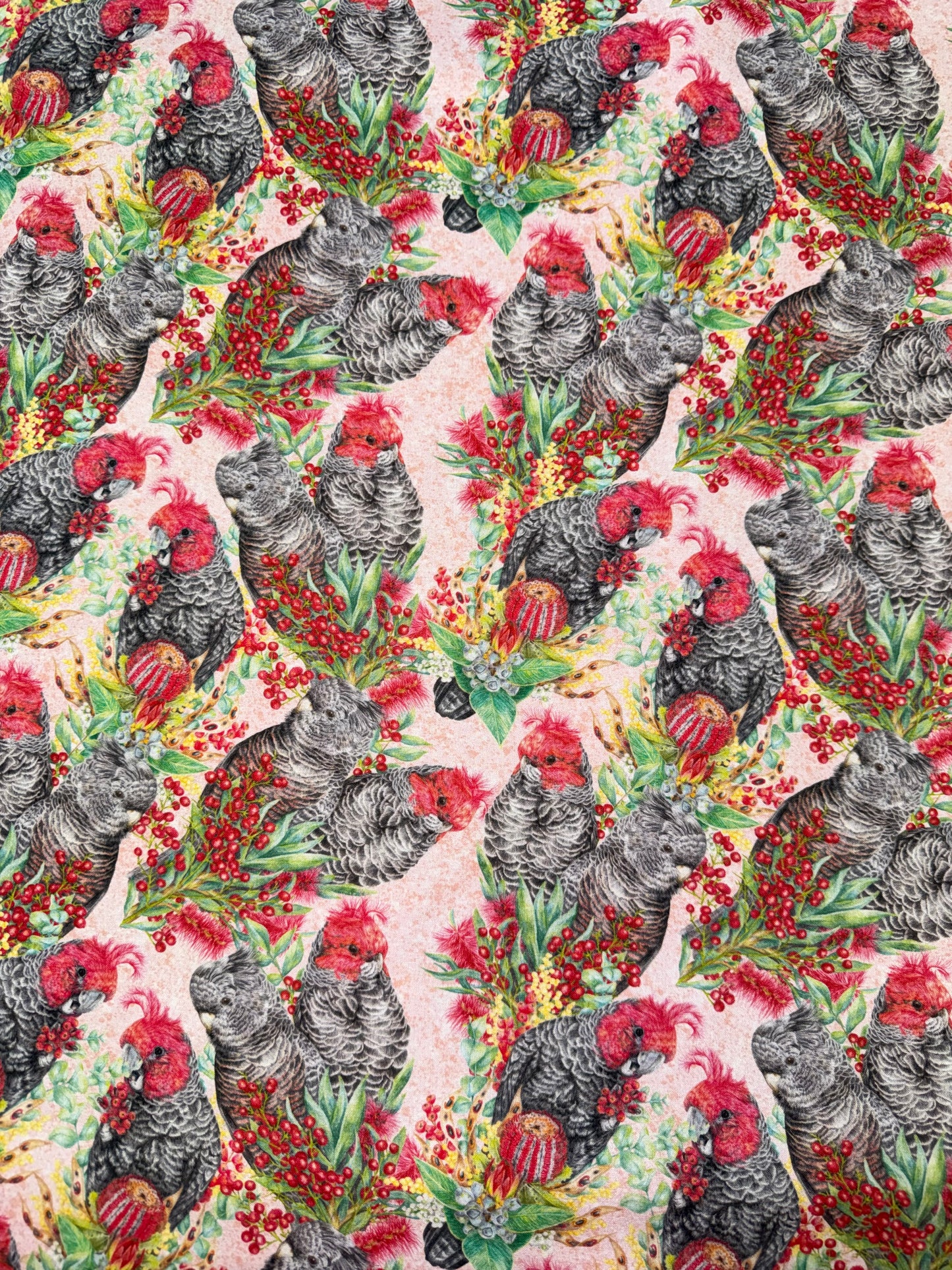 DV7046 Kayla Reay Australian Birds on a Pink Background