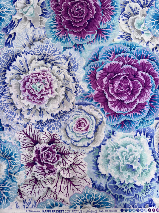 Kaffe Fassett Brassica in Sky   5.5m available
