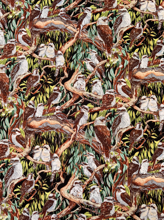 Kookaburras up a Gum Tree