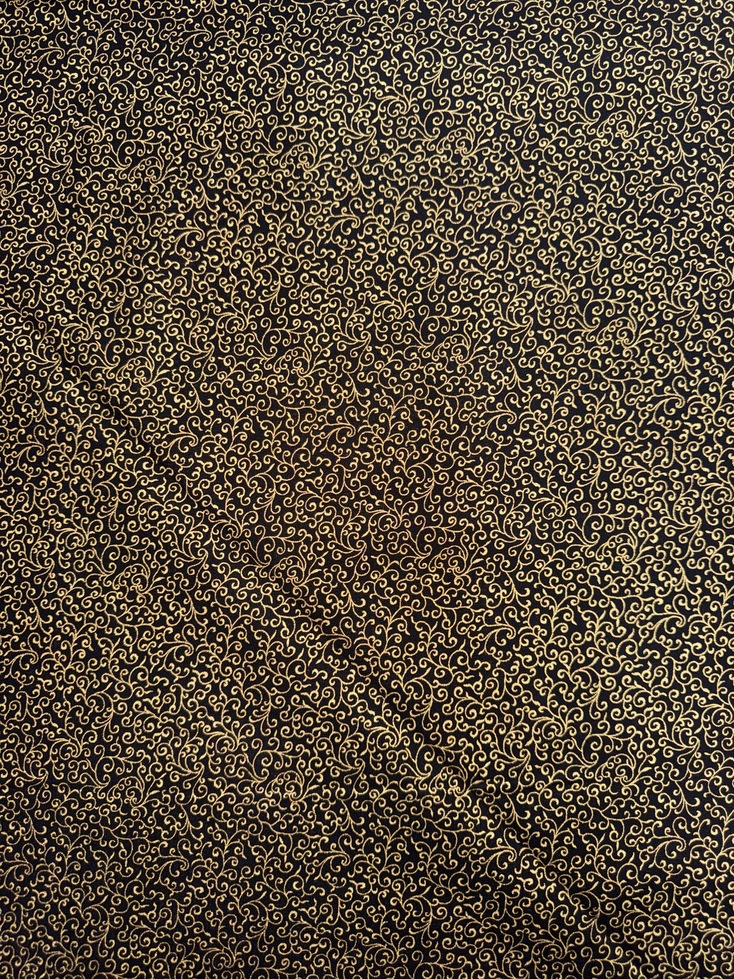 Japanese Gold Curly on black background