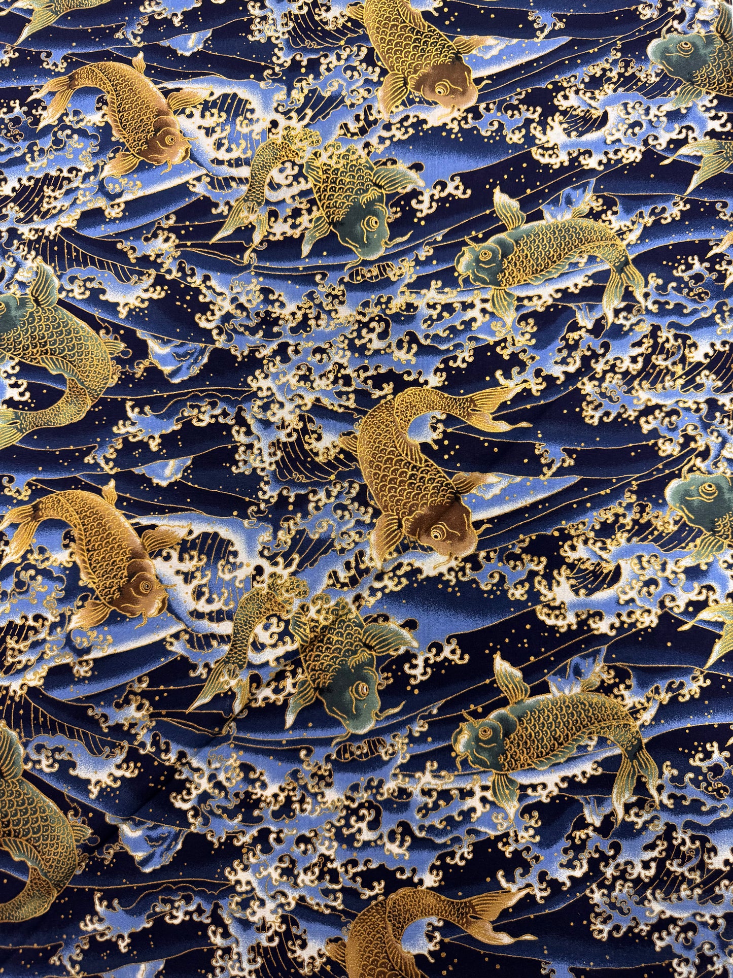 Japanese Zakura Blue Koi Fish