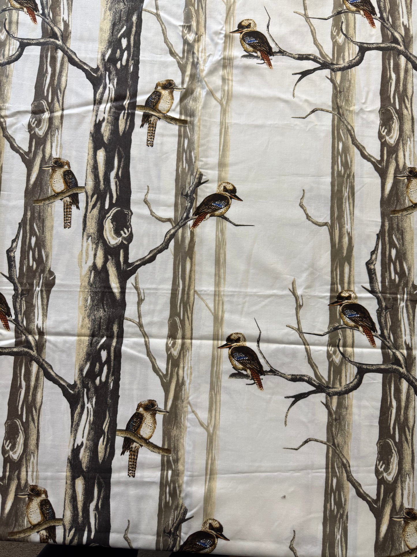 Bush Beauty - Kookaburras in Gum Trees