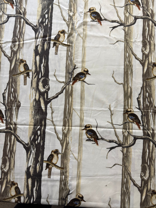 Bush Beauty - Kookaburras in Gum Trees