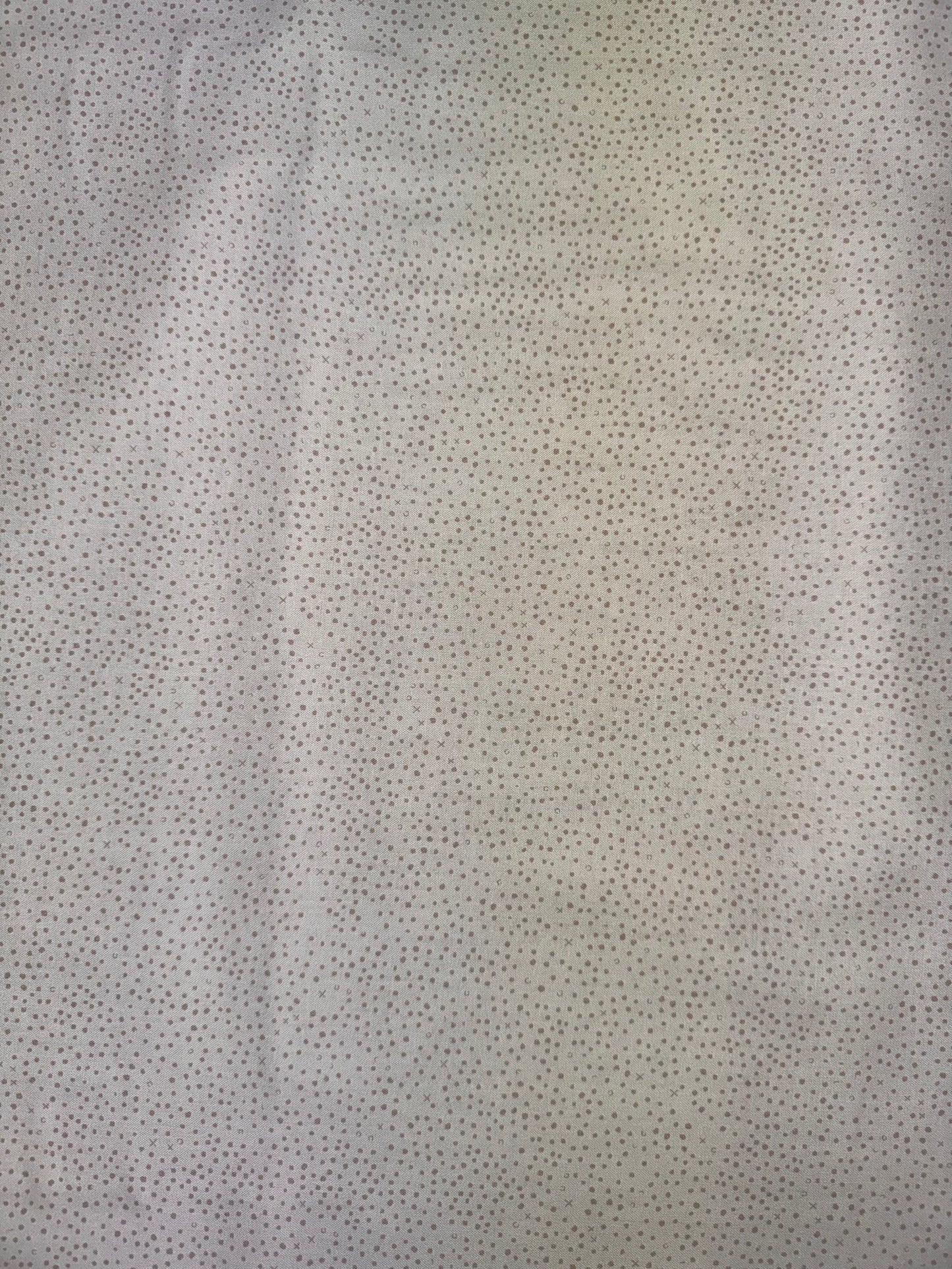 Fairy Garden - Cream Spot Background by Lynette Anderson