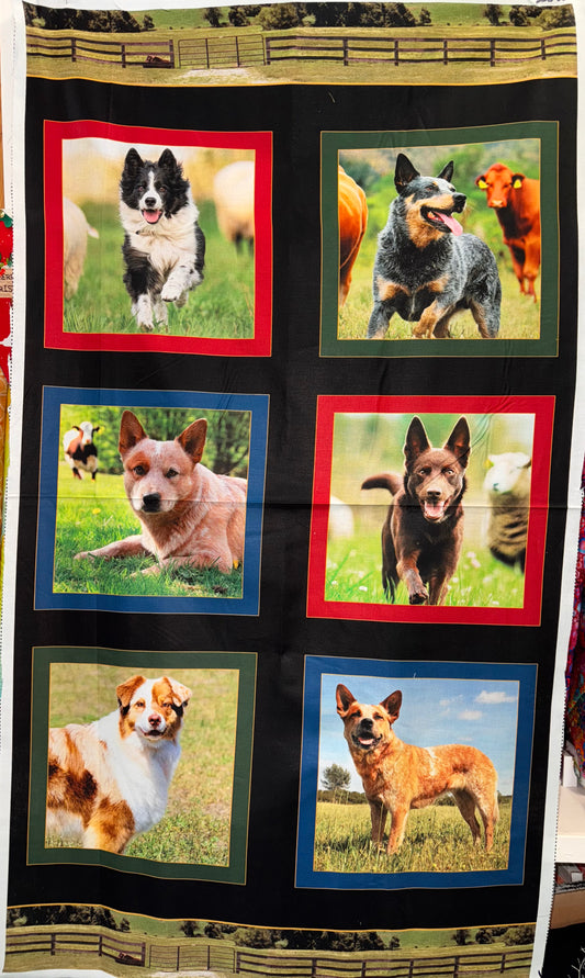 Merino Muster II  Cattle Dogs 60cm panel.