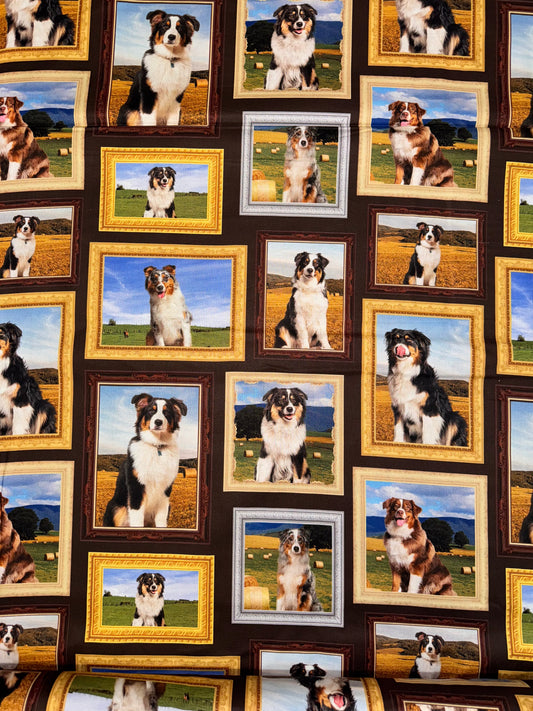 Merino Muster II  Framed Cattle Dogs