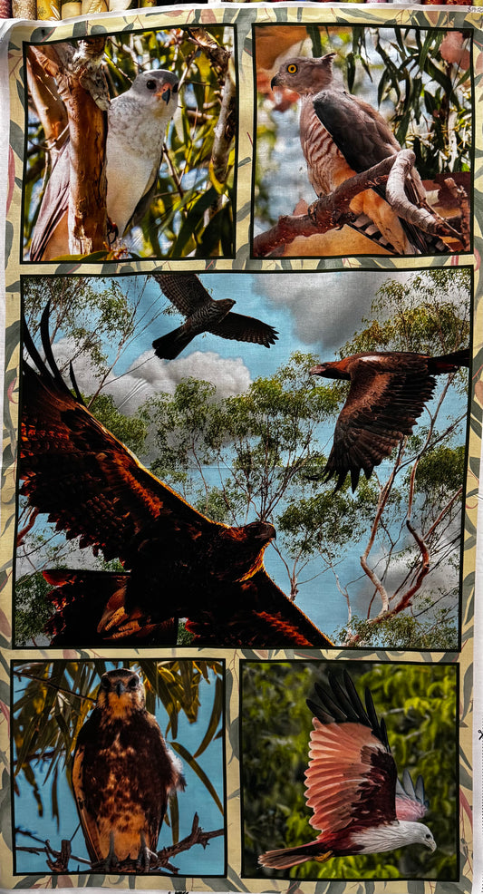 Wings of Wonder Panel  60cm x WOF