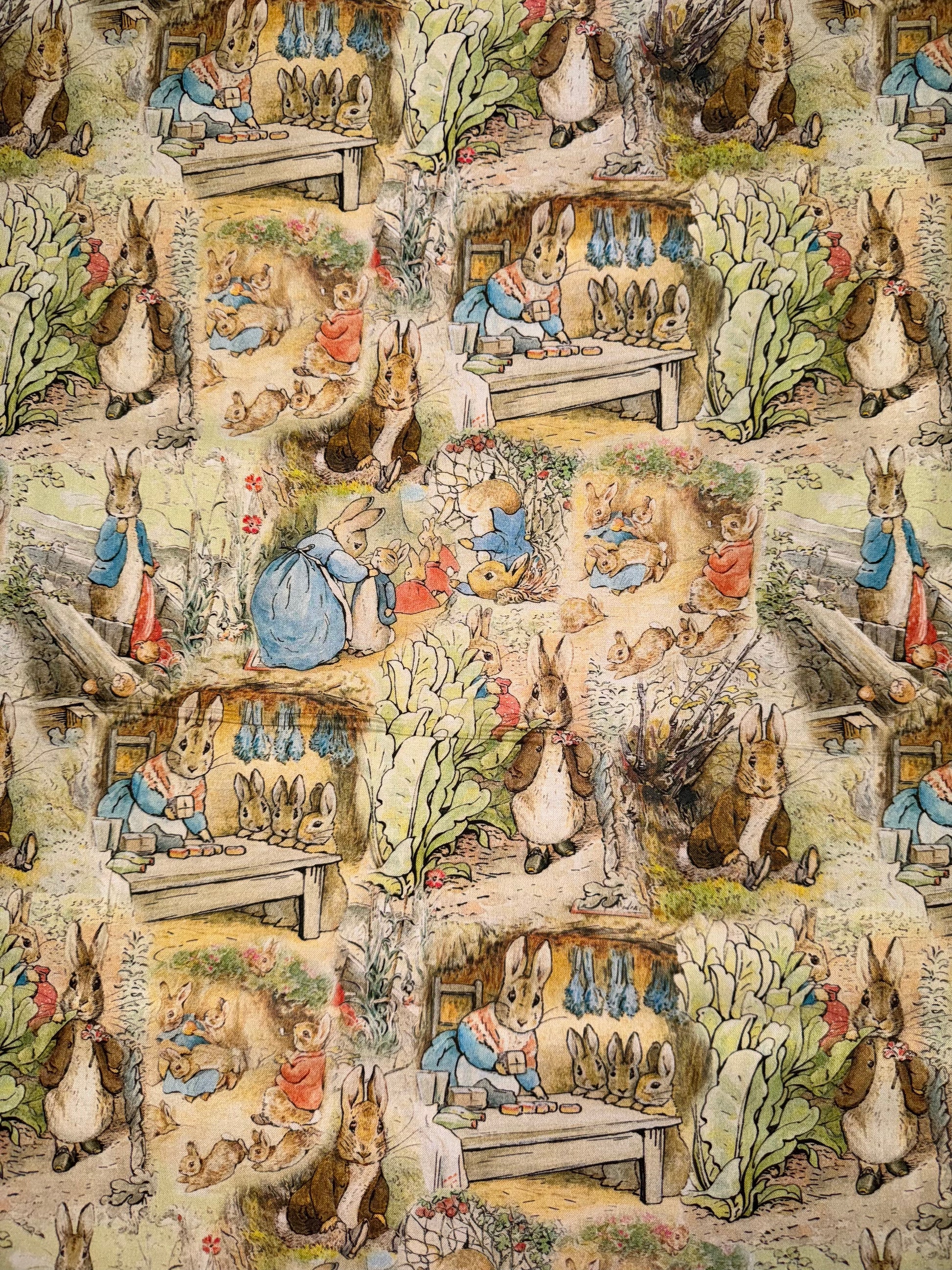 Peter Rabbit - Scenes from the Books – Gympie Patchwork