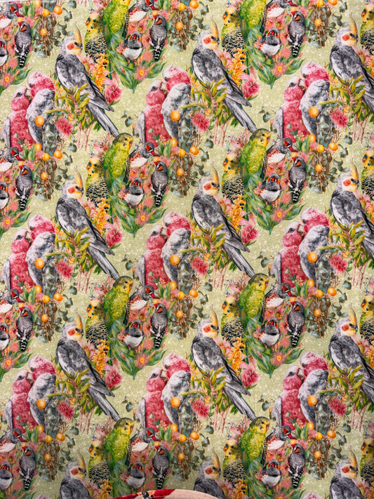 DV6453 Kayla Reay Australian Birds on a green background