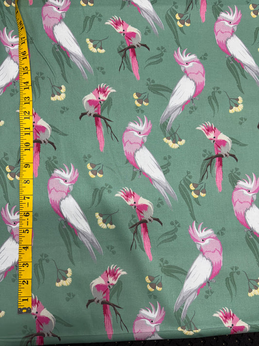 Aussie Allovers Green Galahs. 13m available