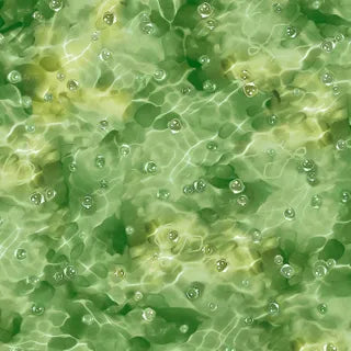 Koi Pond Water Green