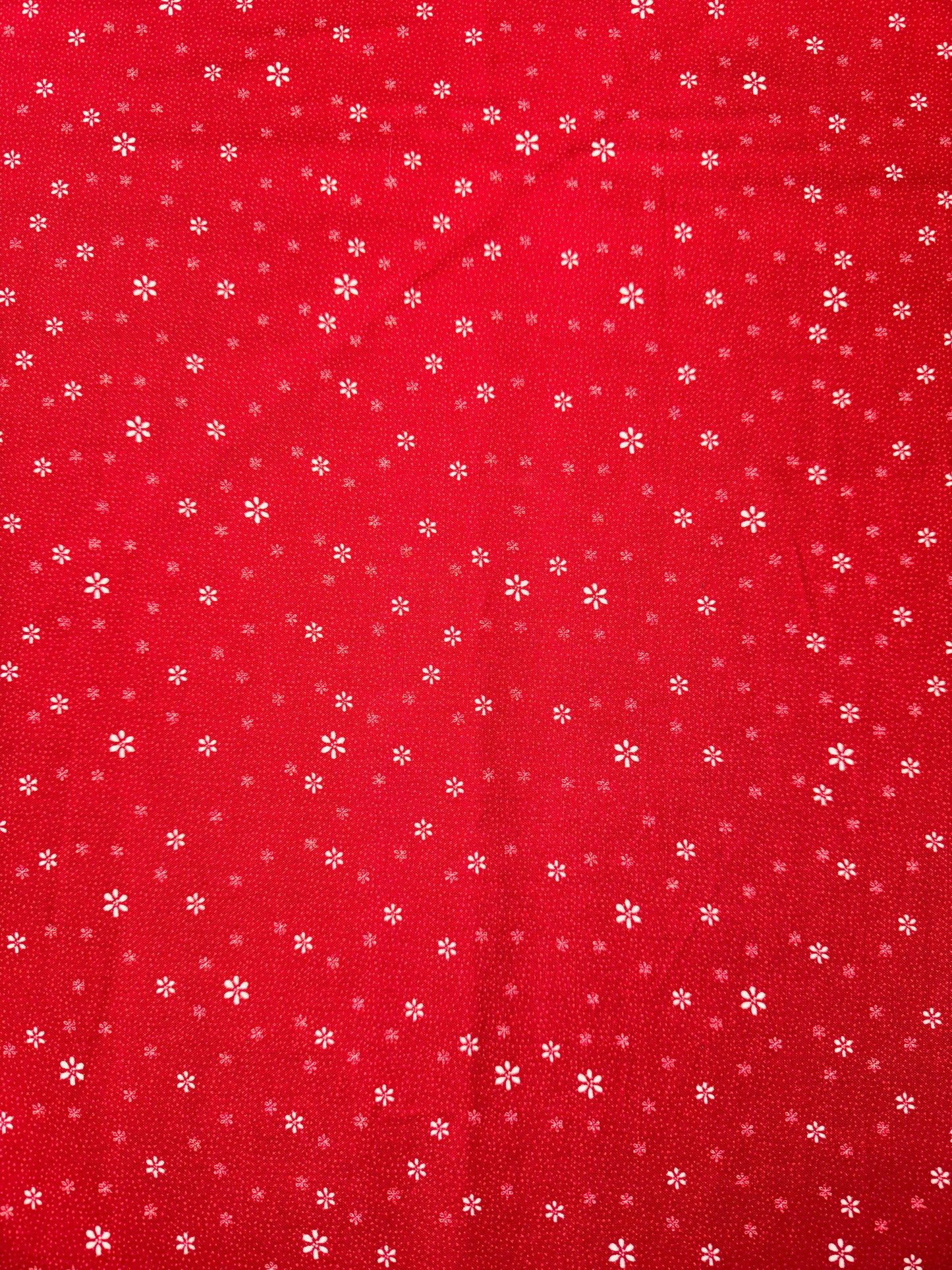 Red Velvet Small Red Daisy design - Lynette Anderson Design