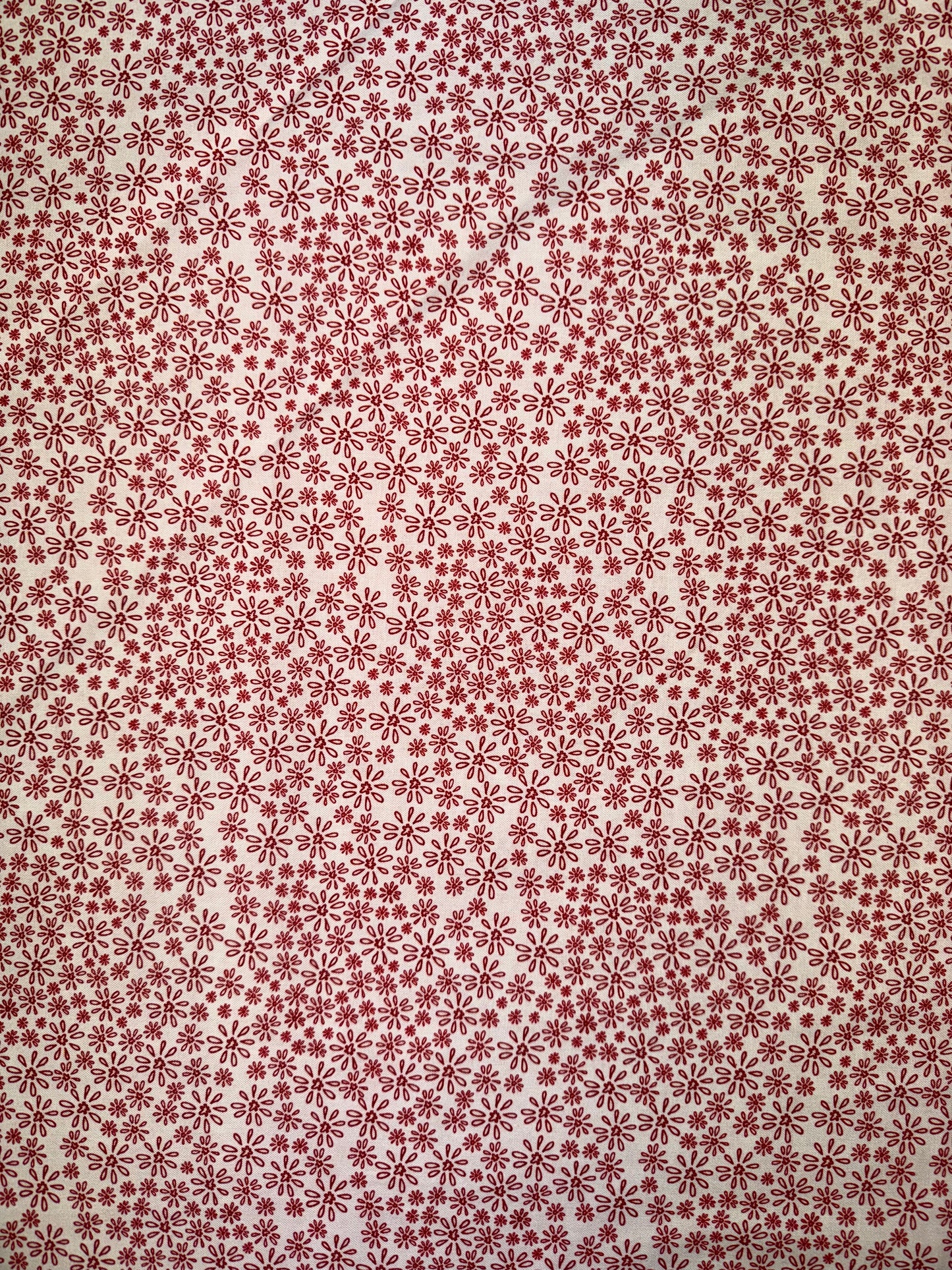 Red Velvet Small Cream Daisy design - Lynette Anderson Design